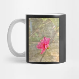 Peach tree blossom with texture Mug